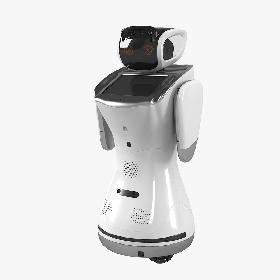 Sanbot Elf Robot 3D model
